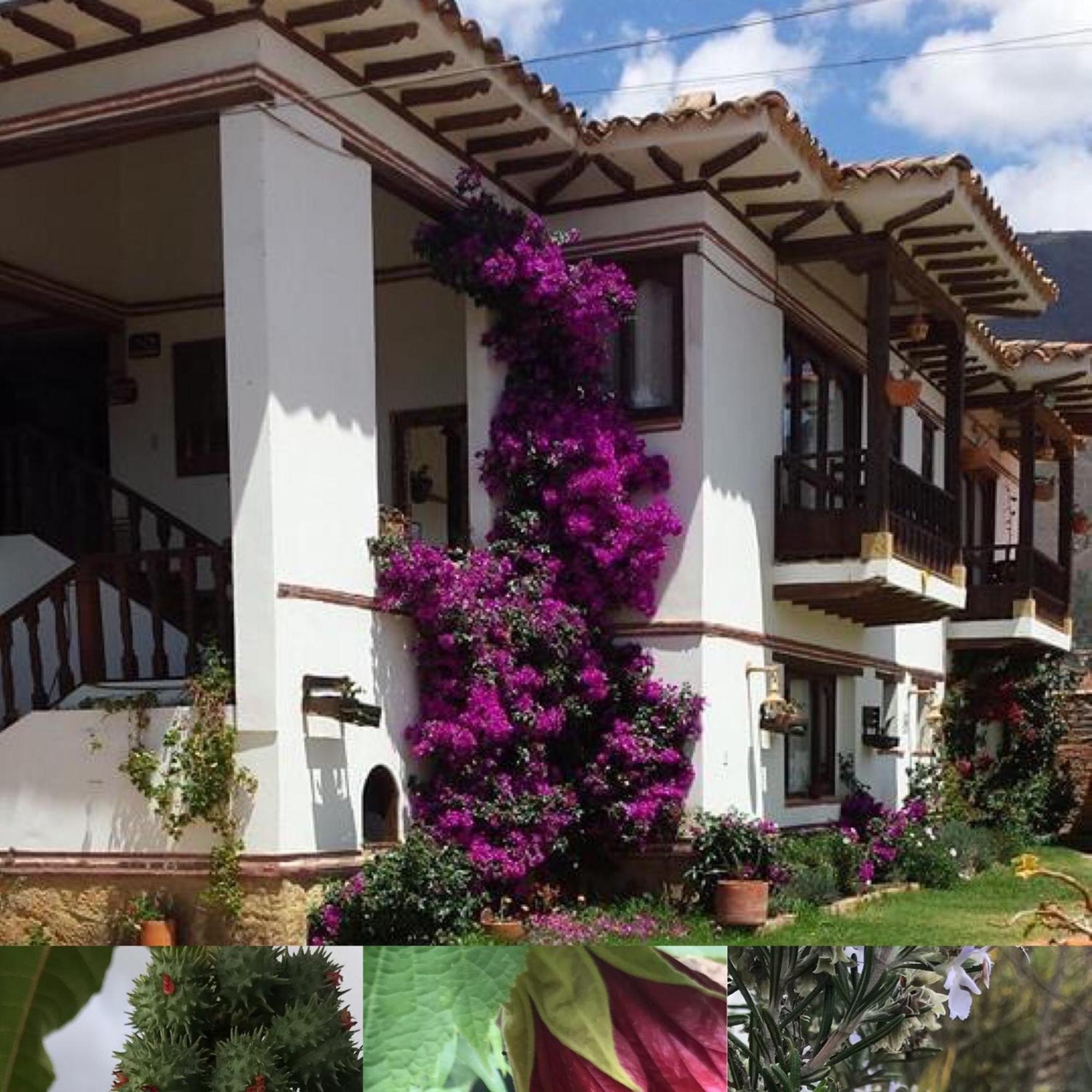 Hotel Santa Viviana Villa De Leyva Exterior photo